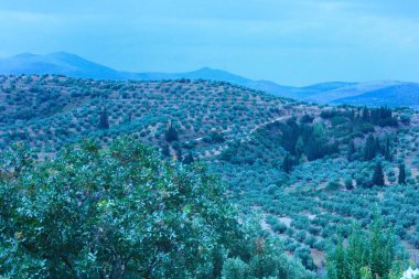Yazın dağların manzarası
