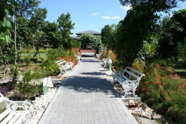 Şehrin güzel yaz parkı manzarası  