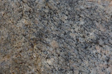 Quebec, Lanaudiere bölgesindeki Kanada ormanlarında güzel bir dokusu olan doğal bir taş.