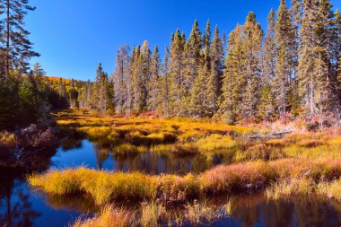 Ağaçlı ve göllü güzel sonbahar manzarası 