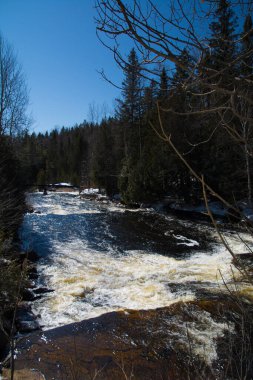 Nehir ve ağaçlarla kaplı kış ormanı manzarası 