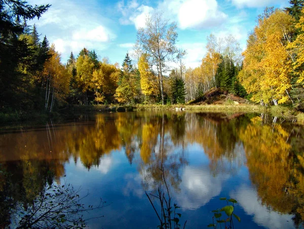 Piękny Jesienny Krajobraz Drzewami Jeziorem — Zdjęcie stockowe