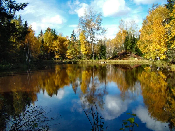 Gyönyörű Őszi Táj Fákkal Tóval — Stock Fotó