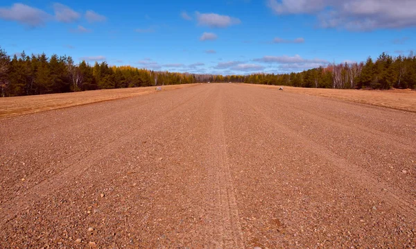 Tom Asfalterad Väg Höstskogen — Stockfoto