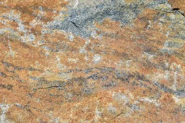 Pedra Natural Com Uma Bela Textura Floresta Canadense Quebec Região — Fotografia de Stock