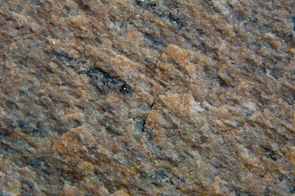Природный Камень Красивой Текстурой Канадском Лесу Квебеке Регион Lanaudiere — стоковое фото