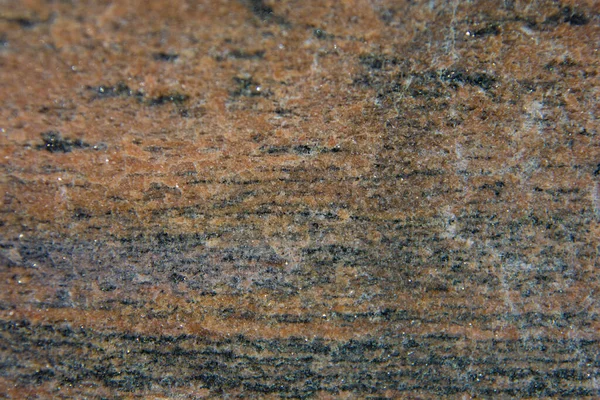 Природный Камень Красивой Текстурой Канадском Лесу Квебеке Регион Lanaudiere — стоковое фото