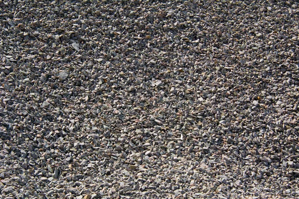 Природний Камінь Прекрасною Текстурою Канадському Лісі Квебеку Провінція Ланадір — стокове фото