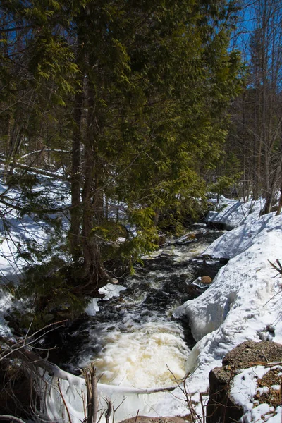 Río Frío Los Inviernos Canadienses Quebec — Foto de Stock