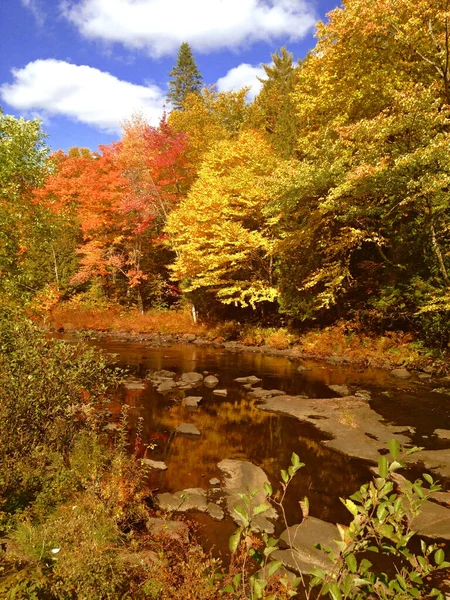 Herbstlandschaft Mit Bunten Bäumen Und Fluss — Stockfoto