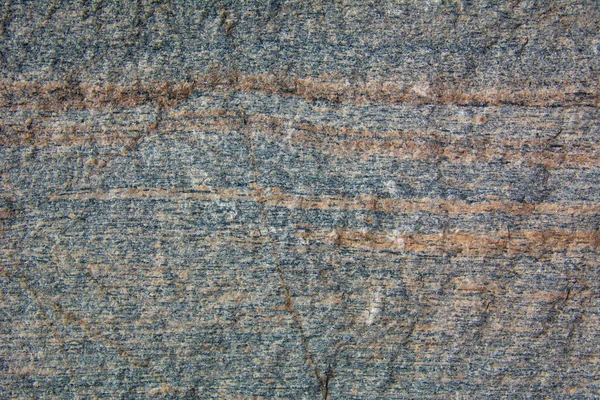 Pietra Naturale Con Una Bella Texture Nella Foresta Canadese Quebec — Foto Stock