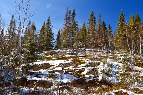 Vackert Senhöstlandskap Med Snö — Stockfoto