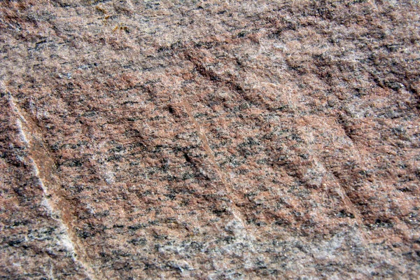 Природный Камень Красивой Текстурой Канадском Лесу Квебеке Регион Lanaudiere — стоковое фото