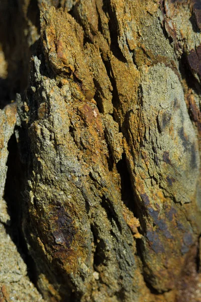 Piedra Natural Con Una Hermosa Textura Bosque Canadiense Quebec Región —  Fotos de Stock