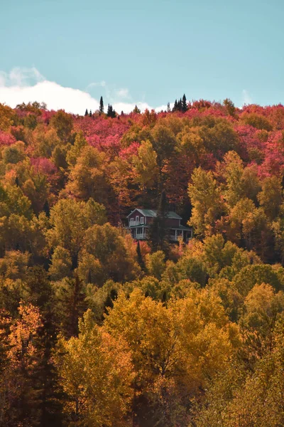 Colores Otoño Bosque Canadiense Quebec — Foto de Stock