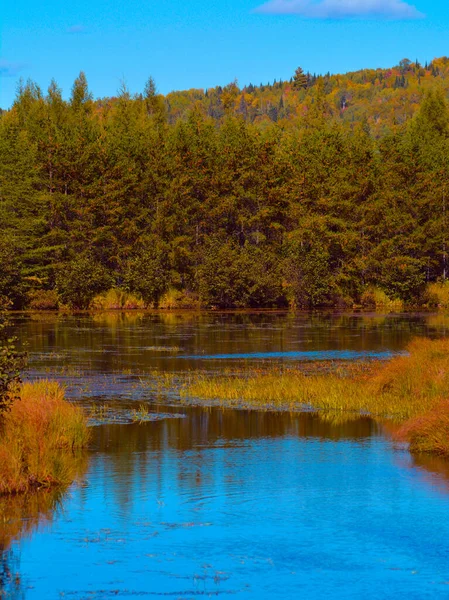 Bellissimo Paesaggio Autunnale Con Alberi Lago — Foto Stock