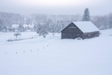 Kış manzarası karla kaplı ağaçlar ve yapayalnız ev
