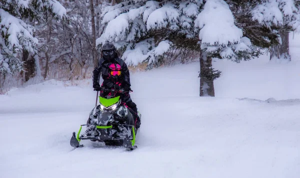 Snowmobile Στον Καναδικό Χειμώνα — Φωτογραφία Αρχείου