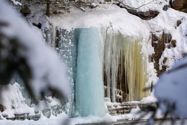 Wall of ice in a Canadian forest in Quebec