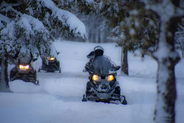 Bonecos Neve Inverno Canadense — Fotografia de Stock