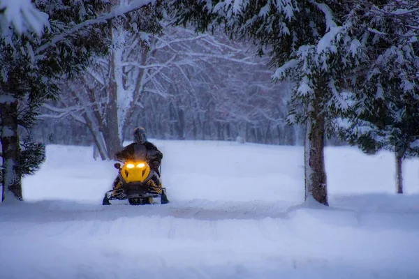 Snowmobile Στον Καναδικό Χειμώνα — Φωτογραφία Αρχείου