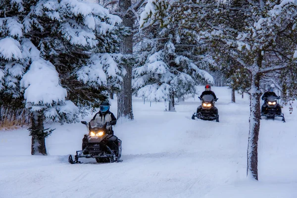 Bonecos Neve Inverno Canadense — Fotografia de Stock