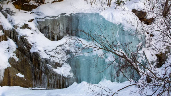 Wall of ice in a Canadian forest in Quebec