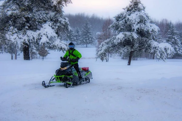 Snowmobile Στον Καναδικό Χειμώνα — Φωτογραφία Αρχείου