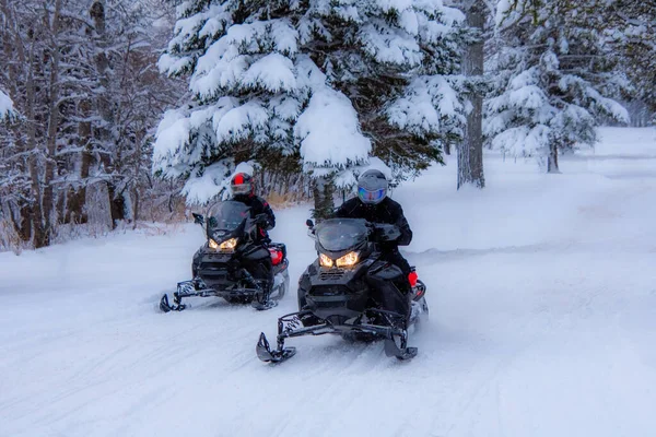 Snowmobiles Στον Καναδικό Χειμώνα — Φωτογραφία Αρχείου