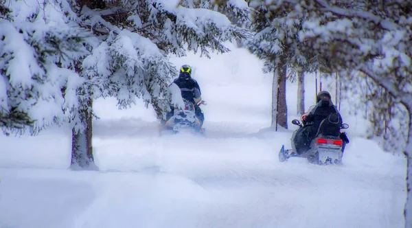 Las Motos Nieve Invierno Canadiense —  Fotos de Stock