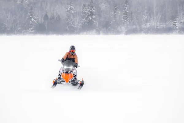 Sneeuwscooter Besneeuwd Veld Winter — Stockfoto