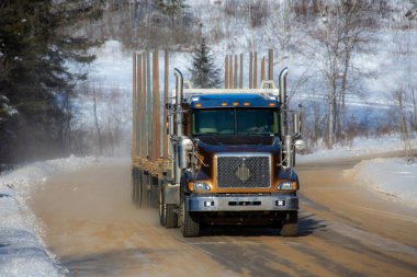 Quebec 'teki Kanada ormanlarında tüm ağaçları taşımak için ağır kamyon römorku.