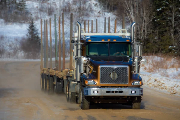 Tung Lastbil Släpvagn För Transport Hela Träd Kanadensisk Skog Quebec — Stockfoto