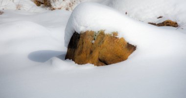 Kış ormanında kar kayaları kapladı.