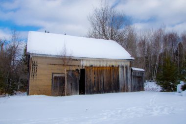 Kış ormanında eski ahşap bir ev 