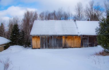 Kış ormanında eski ahşap bir ev 