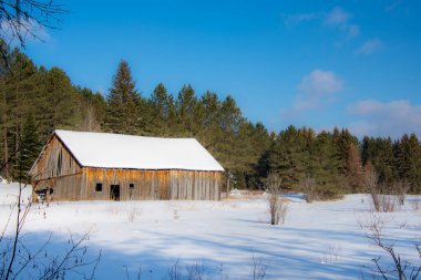 Kış ormanında eski ahşap bir ev 