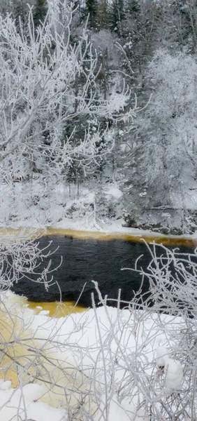 Χειμερινό Δάσος Χιονισμένα Δέντρα Και Ποτάμι — Φωτογραφία Αρχείου