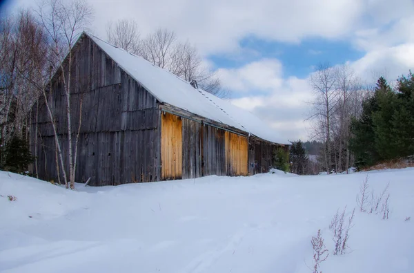 冬の森の古民家 — ストック写真