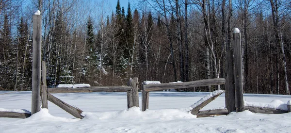 Ağaçlarla kaplı kış manzarasında ahşap çitler
