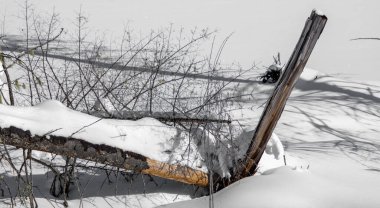 Karla kaplı ağaç dalları