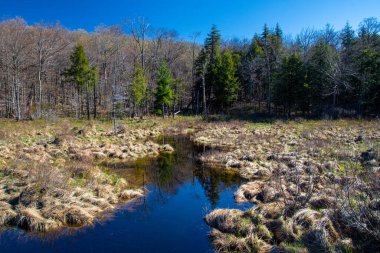 Kanada 'nın Quebec eyaletinde güzel bir nehir.