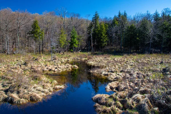 Kanada 'nın Quebec eyaletinde güzel bir nehir.