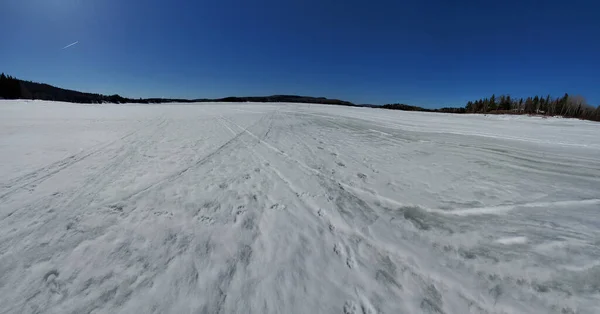 Paisagem Inverno Com Neve Campo — Fotografia de Stock