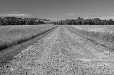 Kırsal yol bir yaz günü