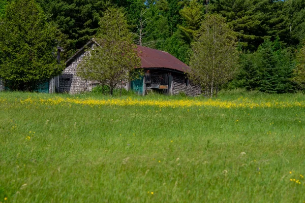 ノルウェーの夏の日の家の景色は — ストック写真