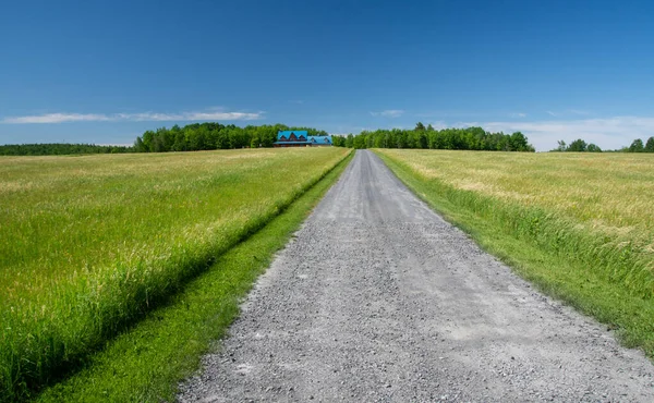 Landsväg Sommardag — Stockfoto