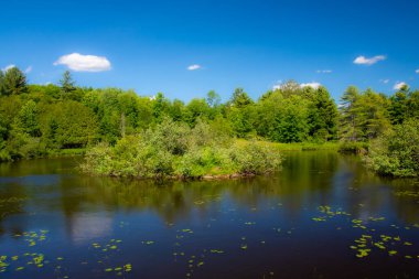 Kanada 'nın Quebec eyaletindeki güzel ve vahşi bir nehir.