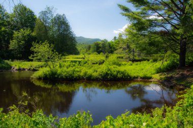 Kanada 'nın Quebec eyaletindeki güzel ve vahşi bir nehir.