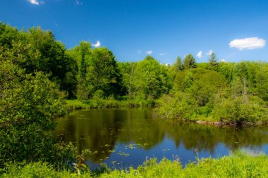 Kanada 'nın Quebec eyaletindeki güzel ve vahşi bir nehir.